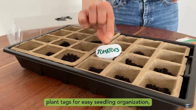 CARPATHEN Seed Starter Tray Kit - 5 x Strong Seed Starting Trays with Humidity Dome (120 Cells Total), Labels and Tools - Seedling Starter Trays Plant Germination Trays - Mini Greenhouse Cloning Kit