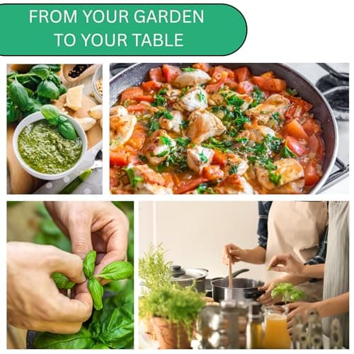 Italian Large Leaf Basil Seeds for Planting - Over 2,900 Heirloom Non-GMO Italian Basil Seeds - Beginner Friendly Seed for Planting Herbs at Home, Outdoors, Indoors or Hydroponics