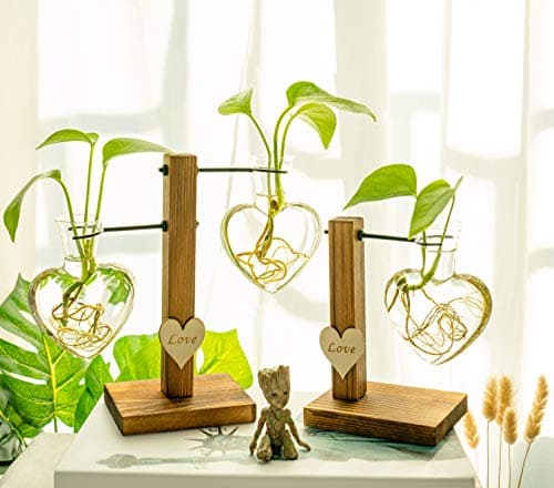Kingbuy Hydroponic Glass Vase Vintage Desktop Plant Terrarium Planter Bulb Vase Water Planting Propagation Vase Planters Hydroponics Plants with Retro Wooden Stand Home Garden. (E（2 Heart Vase）)