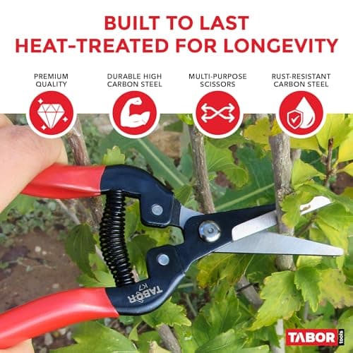 TABOR TOOLS K7A Straight Pruning Shears with Carbon Steel Blades, Florist Scissors, Multi-Tasking Garden Snips for Arranging Flowers, Trimming Plants and Harvesting Herbs, Fruits or Vegetables.