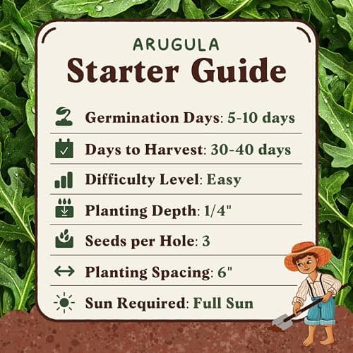 Organic Arugula 'Slow Bolt' Seeds for Planting Indoor and Outdoor, Non-GMO and USDA Certified Herb Seed Packet for Hydroponic Garden Indoor or Planting Outdoors (Slow Bolt Arugula)