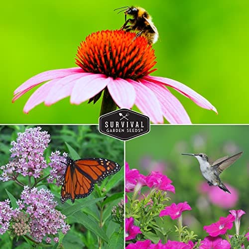 Survival Garden Seeds Pollinator Flower Collection - 3 Seed Packs for Planting & Attracting Butterflies, Bees, Hummingbirds - Nectar & Pollen Rich Perennial & Annual Wildflowers - Non-GMO Heirloom