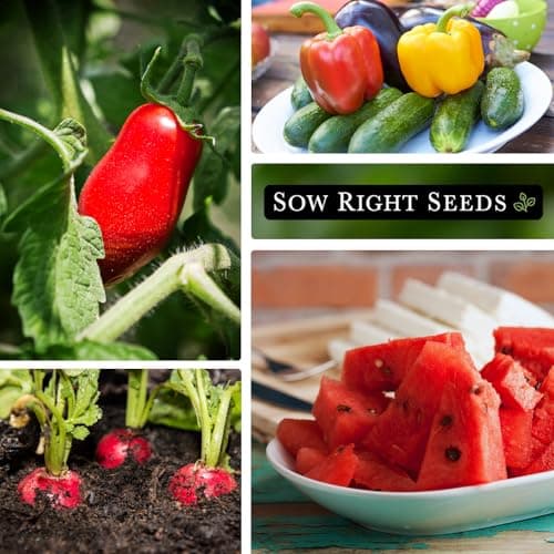 Sow Right Seeds - Classic Vegetable Garden Seed Collection for Planting - Non-GMO Heirloom Broccoli, Cabbage, Carrot, Cucumber, Kale, Lettuce, Tomato, Peppers, Zucchini, and More