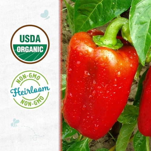 Seed Packet Bell Pepper 'Sweet Cal Wonder'