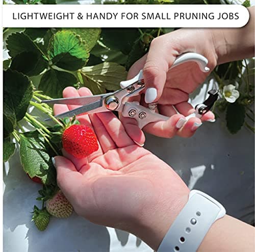 Plant Pruning Shears Garden Trimming Scissors Precision Hand Pruner Herb Snips Flower Clippers Bonsai Trimmers Straight Sharp Blade Tapered Tip Ergonomic Handle Modern Garden Tools
