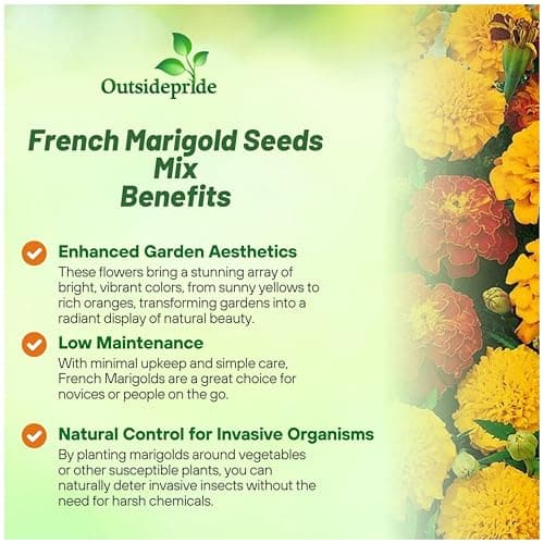 Outsidepride French Marigold Seeds Mix - 1000 Pcs Annual, Compact, Heat & Drought Tolerant Flower Seeds for Planting w/Orange & Yellow Prolific Blooms, Ideal for Vibrant Pollinator Gardens
