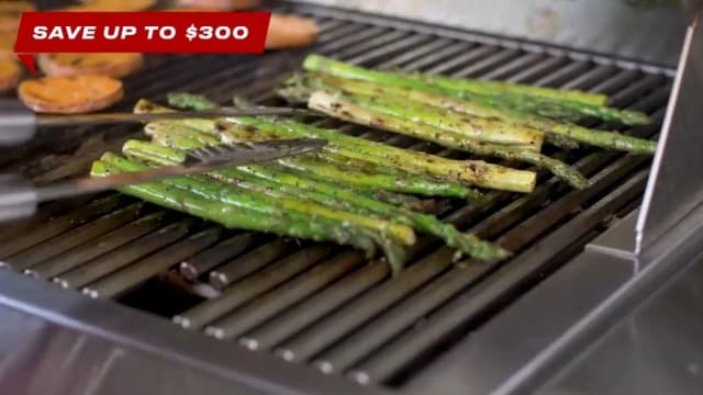 Blaze Grills LBM | 32-inch Outdoor Built-in Grill | 4-Burner Propane Drop in Grill | Commercial Grade Grilling Experience| Stainless Steel Outdoor BBQ | BLZ-4LBM-LP