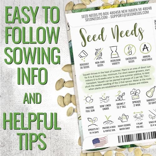 Seed Needs Zucchini Seeds for Planting Black Beauty Summer Squash - Non-GMO, Heirloom & Untreated - Prolific Yields of Delicious Zucchinis in a Home Grown Outdoor Vegetable Garden (1 Pack)