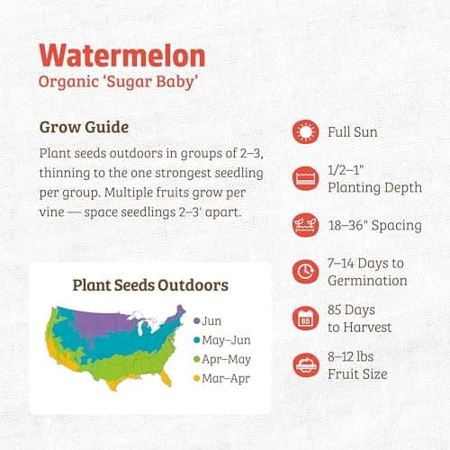 Seed Packet - Watermelon 'Sugar Baby' 1.7 g