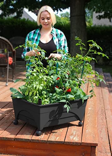 Emsco Group City Picker Raised Bed Grow Box – Self Watering and Improved Aeration – Mobile Unit with Casters