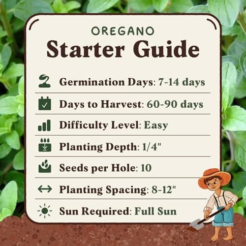 Organic Oregano Seeds for Planting Indoor and Outdoor, Non-GMO and USDA Certified Herb Seed Packet for Hydroponic Garden Indoor or Planting Outdoors (Italian Oregano)