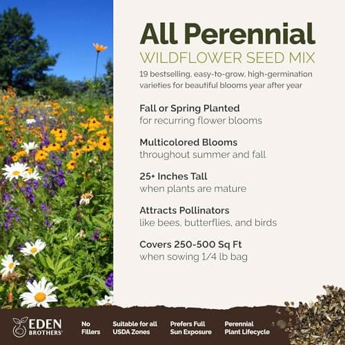 Eden Brothers All Perennial Wildflower Mixed Seeds for Planting, 1/4 lb, 120,000+ Seeds with Lupine, Shasta Daisy | Attracts Pollinators, Plant in Spring or Fall, Zones 3, 4, 5, 6, 7, 8, 9, 10
