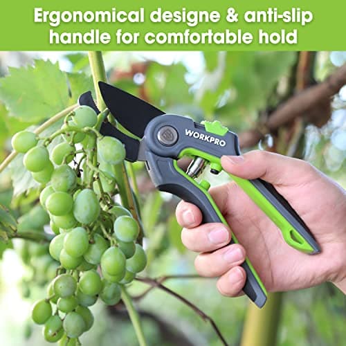 WORKPRO Anvil Pruning Shears, 8’’ Professional Gardening Hand Pruner with SK5 Steel Sharp Blades, Ideal Gardening Tool for Cutting and Trimming, Green