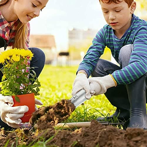 Bulb Planter Set, Stainless Steel Dibber Hand Tools, 1Pc Bulb Planter, 1Pc Metal Planting Dibber, Bulb Planting Garden Tool Set, Bulb Planter Tool and Dibber for Planting Seed,A