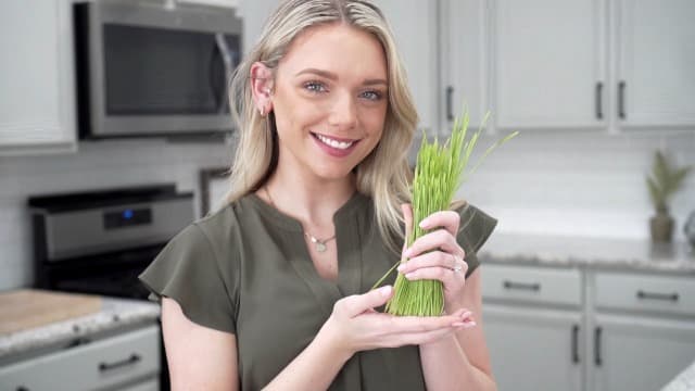 Nature Jims Sprouts Wheatgrass Seeds - 100% Organic Wheat Grass Seed for Sprouting - Cat Grass Planter Seeds, Rich in Vitamins, Fiber and Minerals - Non-GMO, Healthy Wheatgrass Sprout Growing Seed