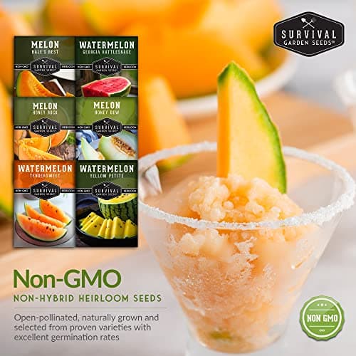 Survival Garden Seeds Melon Collection - 6 Packs of Heirloom Melon Fruit Seed: Honey Rock Cantaloupe, Hale's Best, Honeydew Melons, Yellow Petite, Tendersweet Orange, Georgia Rattlesnake Watermelon