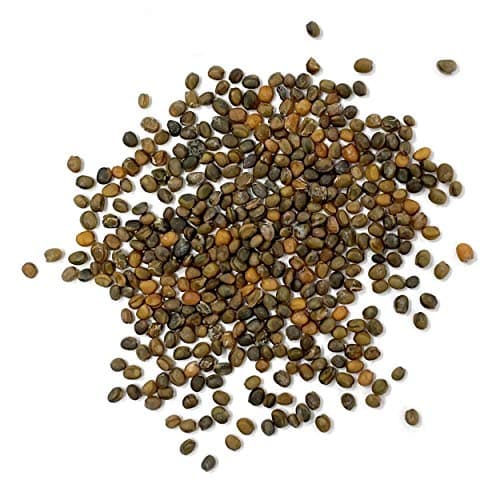 Purely Organic Arugula Seeds (Slow Bolt) - Approx 400 Seeds - USDA Organic, Non-GMO, Open Pollinated, Heirloom, USA Origin