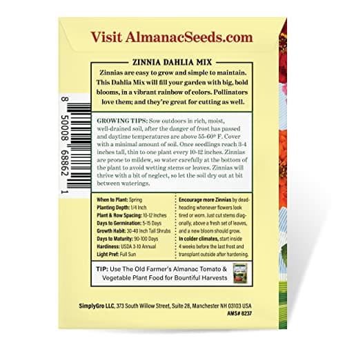 The Old Farmer's Almanac Zinnia Seeds (Dahlia Mix) - Approx 240 Flower Seeds - Non-GMO, Premium, Open Pollinated