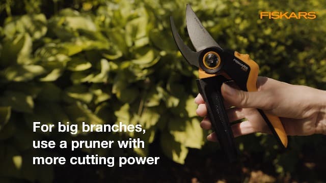 Fiskars Bypass Pruning Shears, 1-Inch Cut Capacity Softgrip Pruner, Forged Steel Replaceable Blade Stays Sharp Through Heavy Use with Rust Resistant, Low-Friction Coating