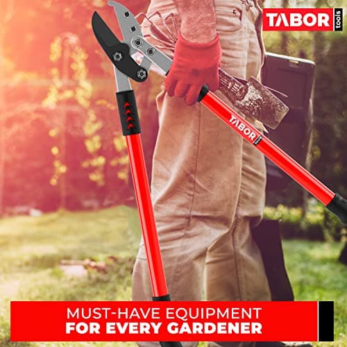 TABOR TOOLS GG12A Anvil Lopper with Compound Action, 30 Inch Tree Trimmer, Thick Branch Cutter with ⌀ 2 Inch Cutting Capacity, Chops Thick Branches with Ease.