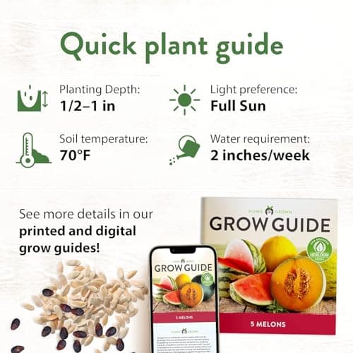 HOME GROWN Melon Seeds Variety Pack – 5 𝗡𝗢𝗡-𝗚𝗠𝗢 Heirloom Fruit Seeds: Watermelon, Cantaloupe, Honeydew, Sugar Baby & Melon – High Germination 𝗨𝗦𝗔 for Planting Home Garden Indoors.