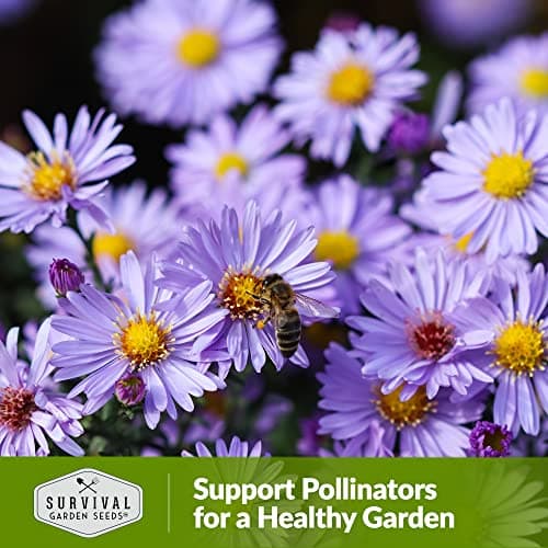 1 Pack Bee Pollinator Mix Seed for Planting - Packet with Instructions to Grow Annual & Perennial Flowers to Feed Bees in Your Home Garden - Non-GMO Heirloom Varieties - Survival Garden Seeds