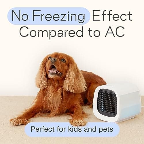 Evapolar evaCHILL Portable Air Conditioners - Portable AC Unit - Small Personal Evaporative Air Cooler & Fan for Desk, Office, Car, Camping, White
