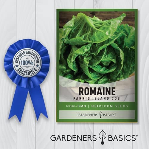 Gardeners Basics, Romaine Lettuce Seeds for Planting - Parris Island Cos Heirloom, Non-GMO Vegetable Variety- 2 Grams Seeds Great for Spring, Summer, Fall, Winter Garden and Hydroponics