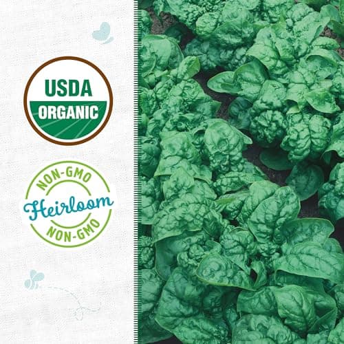 Seed Packet - Spinach