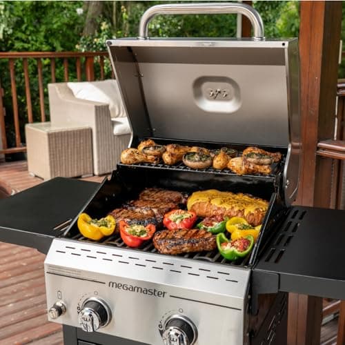 2-Burner Propane Barbecue Gas Grill with Foldable Side Tables, Perfect for Camping, Outdoor Cooking, Patio, Garden Barbecue Grill, 28000 BTUs, Silver and Black, 720-0864MA