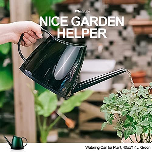 WhaleLife Indoor Watering Can for House Bonsai Plants (1.4L, Green)