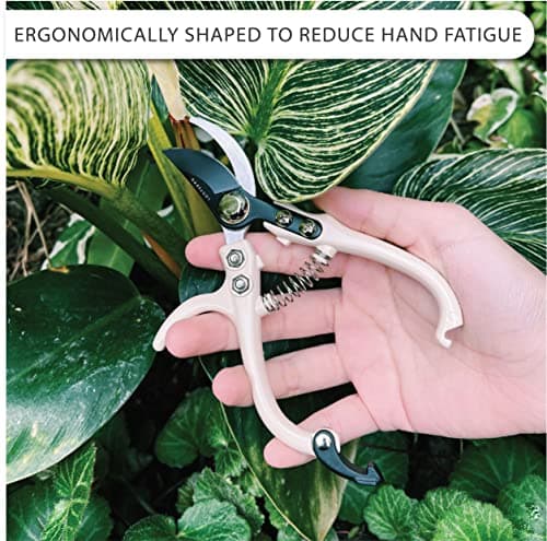 Bypass Pruning Shears Hand Pruner Garden Trimming Scissors Plant Trimmers Herb Snips Flower Clippers Ergonomic Handle Modern Garden Tools (Classic Cream)