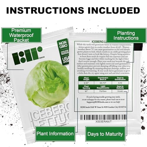 500 Iceberg Lettuce Seeds for planting - Heirloom Non-GMO USA Grown Premium Vegetable Seeds for Planting Home Garden - Crisphead Heading Lettuce Lactuca Sativa by RDR Seeds