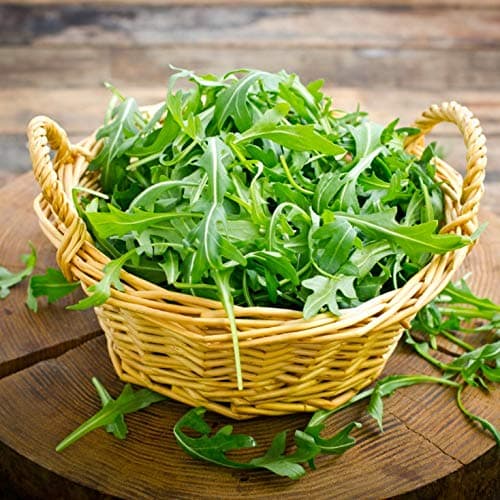 Gaea's Blessing Seeds - Arugula Seeds - Roquette Rocket Heirloom - Non-GMO Seeds with Easy to Follow Planting Instructions - 90% Germination Rate (Pack of 1)