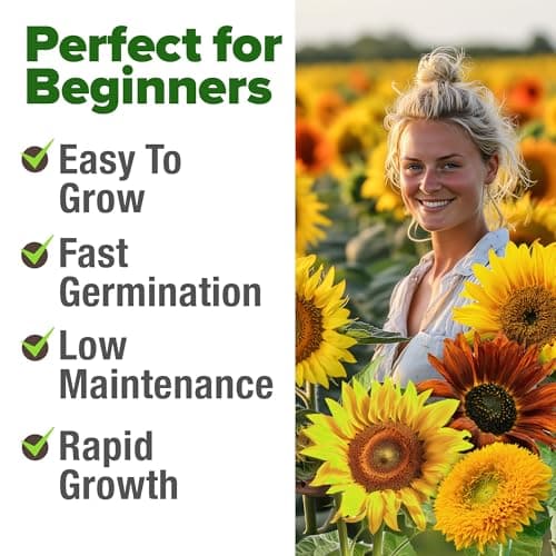 HOME GROWN Sunflower Seeds Mix Pack 1,500+ Colorful Varieties of Sunflower Seeds to Plant - 2-10ft Tall Plants, Pollinator Friendly 𝗡𝗢𝗡-𝗚𝗠𝗢 𝗨𝗦𝗔 – Easy to Grow, High Germination