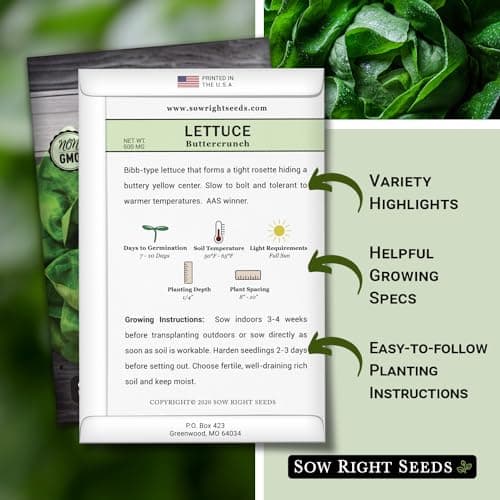 Sow Right Seeds - Buttercrunch Lettuce Seeds for Planting - Non-GMO Heirloom Packet with Instructions to Plant a Home Vegetable Garden - Outdoors or Hydroponics Indoors - Heat Tolerant Variety (1)