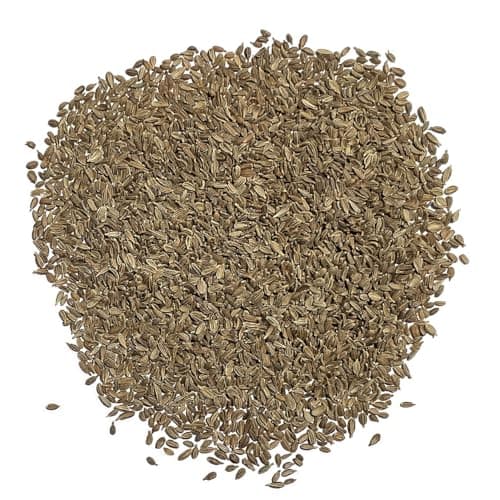 Organic Carrot Seeds (Rainbow Blend) - Approx 500 Seeds - USDA Organic, Non-GMO, Open Pollinated, Heirloom, USA Origin