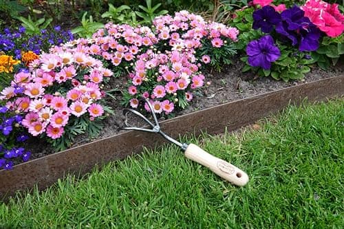 Tierra Garden DeWit 3-Tine Cultivator with Short Handle, Works as Garden Hoe and Tiller (31-0904)
