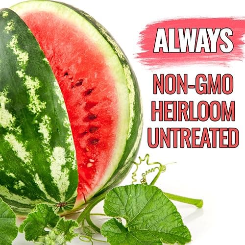 Seed Needs Watermelon Seeds for Planting Crimson Sweet Watermelons - Non-GMO Heirloom & Untreated - Grow an Outdoor Home Grown Garden Filled with Sweet Fruits (1 Pack)