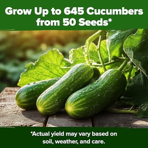 HOME GROWN Persian Cucumber Seeds – 50+ Heirloom Non-GMO, High-Yielding Beit Alpha Variety | Fast Growing, Sweet Tender Skin, Home Vegetable Garden Seeds (Cucumis sativus)