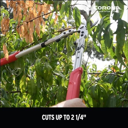 Corona X Series Pro 2-1/4 Inch Bypass Lopper