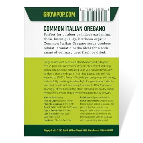 Organic Common Italian Oregano Seeds - USDA Organic, Non-GMO, Open Pollinated, Heirloom (1 Packet - 500 MG - Approx 450 Seeds)