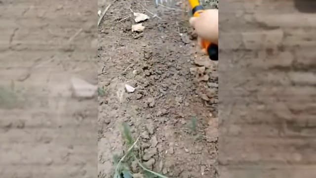 2024 New Weeding Artifact Uprooting Weeding Tool, Upgrade Gardening Hand Weeder Tools with Handle, Manual Multifunctional Weeders Gardening Tools for Yard and Garden (11 Tines)
