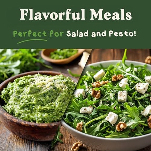 Organic Arugula 'Slow Bolt' Seeds for Planting Indoor and Outdoor, Non-GMO and USDA Certified Herb Seed Packet for Hydroponic Garden Indoor or Planting Outdoors (Slow Bolt Arugula)