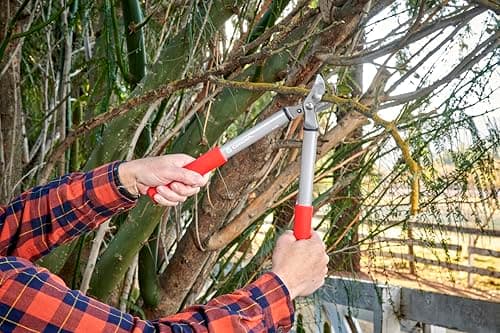 Corona BP 3225D Forged Steel ClassicCUT Bypass Hand Pruner - 3/4 inch Cut Capacity Stem and Branch Garden Shears, Red