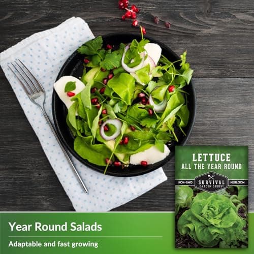 All The Year Round Lettuce Seed for Planting - 1 Packet with Instructions to Plant & Grow Adaptable Salad Greens in Your Home Vegetable Garden - Non-GMO Heirloom Variety - Survival Garden Seeds