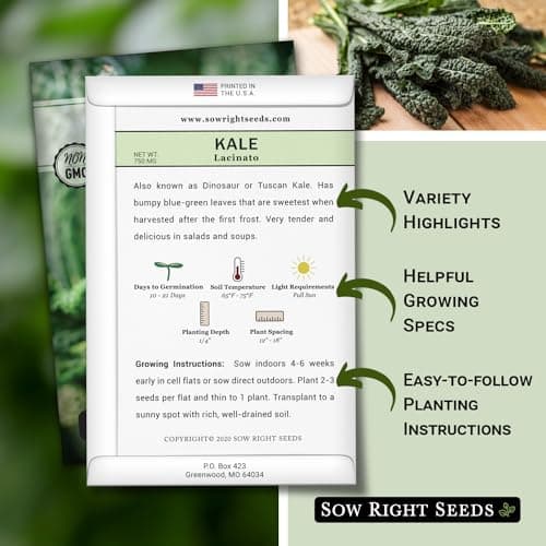 Sow Right Seeds - Lacinato Kale Seed for Planting - Non-GMO Heirloom Packet with Instructions to Plant a Home Vegetable Garden - Very Nutritious Superfood, Grow This Dinosaur Variety (1)
