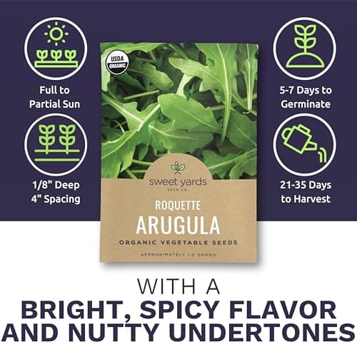 Organic Arugula Seeds - 2 SEED PACKETS! - Over 1,000 Open Pollinated Non-GMO USDA Organic Seeds
