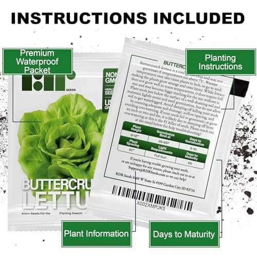 500 Buttercrunch Lettuce Seeds for Planting - Heirloom Non-GMO Vegetable Seeds for Planting - Hydroponics - Microgreens - AKA Butterhead Lettuce, Boston Lettuce, Bibb Lettuce Lactuca Sativa