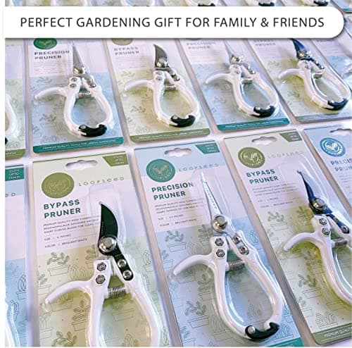Plant Pruning Shears Garden Trimming Scissors Precision Hand Pruner Herb Snips Flower Clippers Bonsai Trimmers Straight Sharp Blade Tapered Tip Ergonomic Handle Garden Tools (Classic Cream)
